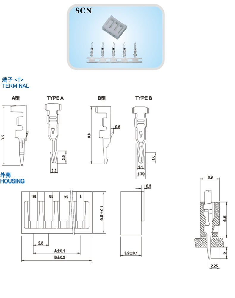 SCN-1.jpg